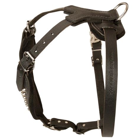 Adjustable Leather American Bulldog Harness Studded For Fashion Walking