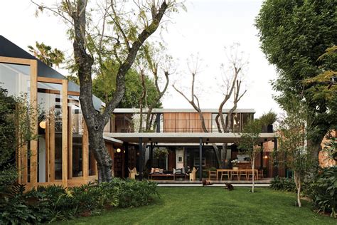 Existing Trees Left To Grow Up Guadalajara House By Alejandro Sticotti