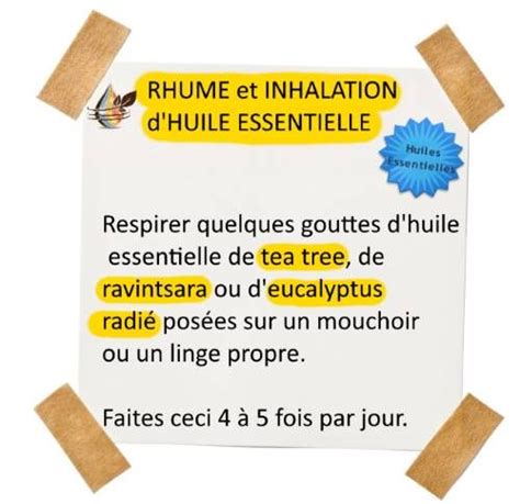 Soigner Un Rhume Avec Les Huiles Essentielles Soigner Un Rhume