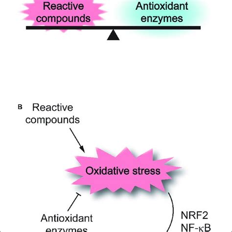 Regulation Of Cellular Redox Homeostasis A Cellular Redox Status