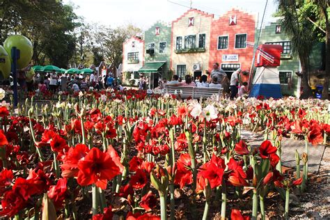 Os Melhores Lugares Para Passar Ferias De Janeiro Park Hotel