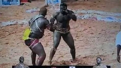 Combat Balla Gaye Vs Boy Niang Thiapathiolibi Dann Na Le Lion De