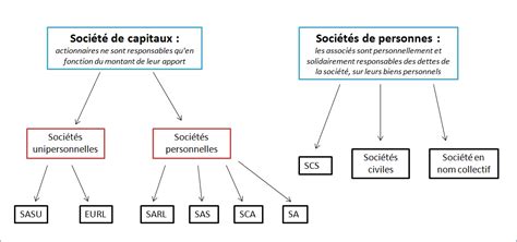 Les Sociétés De Personnes Et Les Sociétés De Capitaux Mister Prépa