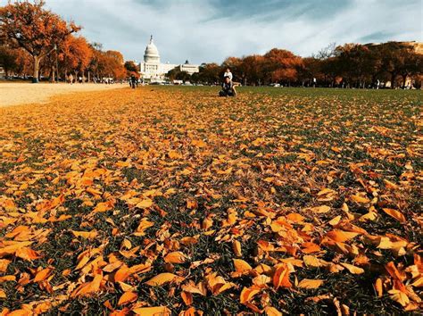 Best Places to Photograph Fall Foliage in DC | Washington.org