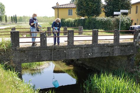 Moria Di Pesci Nel Torrente Stella S Indaga Sulle Cause