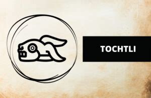 Tochtli S Tale Unraveling The Aztec Rabbit Symbolism Symbol Sage