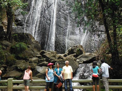 Puerto Rico Cruise Excursions | San Juan Rainforest puerto rico