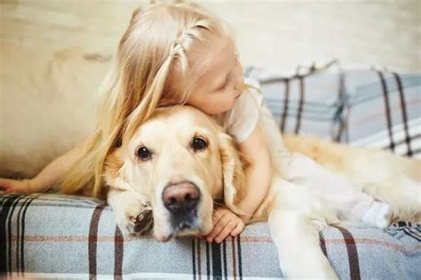 Beneficios De La Relación Niños animales Inteligencia Y Desarrollo