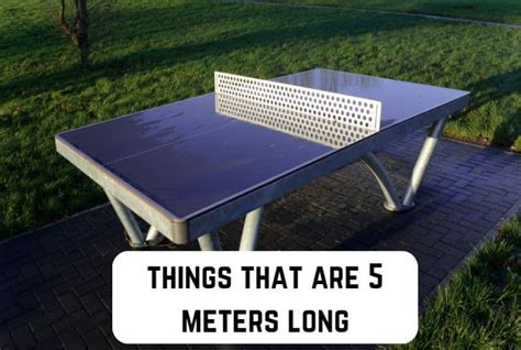 10 Things That Are Approximately 5 Meters Long (With Pics) | Measuringly