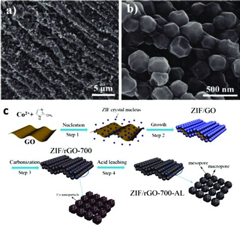 A B Sem Images Of Zif Go With Different Magnifications C The