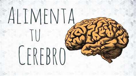 Alimenta Tu Cerebro Youtube