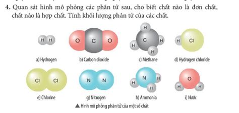 4. Quan sát hình mô phỏng các phân tử sau, cho biết chất nào là đơn ...