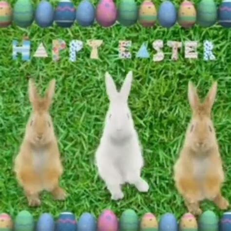 Happy Easter Bunny Dance Youtube