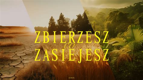 Zbierasz Co Zasiejesz Pastor Maciek Youtube