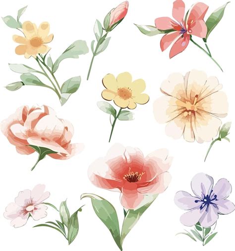 Premium Vector Floral Watercolor Illustration