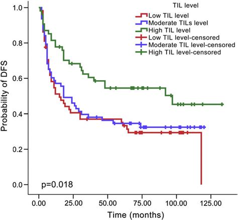 Kaplan Meier Survival Curve For Til Level And Dfs Time According To Download Scientific Diagram