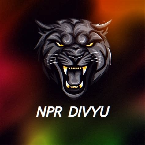 NPR DIVYU YouTube