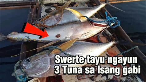 Tatlong Tuna Agad Sa Isang Gabi Lang Jackpot Agad Catching