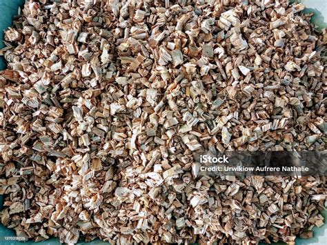 Photograph Of Mulching In A Wheelbarrow Shredded Wood To Cover Soil