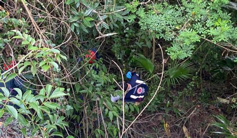 Homem despenca de mirante em Florianópolis e é resgatado em mata