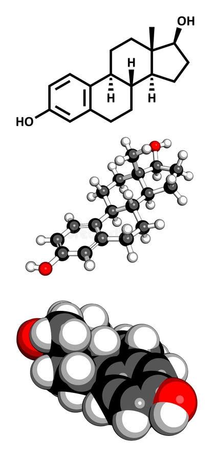 Estradiol Female Sex Hormone Molecule Stock Illustration Illustration Of Cure Chemistry