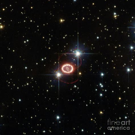 Supernova Sn 1987a Photograph by Science Source - Fine Art America