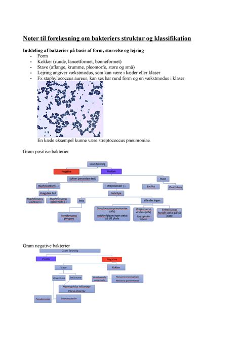 Forelæsningsnoter til mikrobiologi Noter til forelæsning om