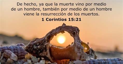 Vers Culos De La Biblia Sobre Muertos Dailyverses Net