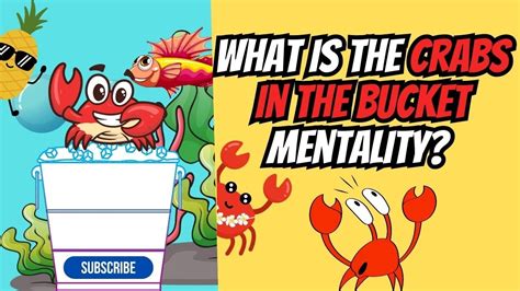 What Is The Crabs In The Bucket Mentality Don T Be A Crab YouTube