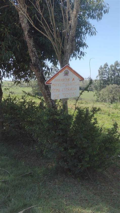 Usuários reclamam de situação precária em estrada de Carlópolis NPDiário