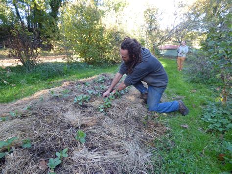 Comment entretenir son jardin en hiver Un atelier organisé à Fargues