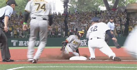 もはや恐怖！ アツすぎる阪神タイガースファンがパ・リーグ球場に殴り込んで“甲子園化” 「電車が通る時のガード下」レベルの爆音応援がヤバすぎる プロ野球 Abema Times アベ