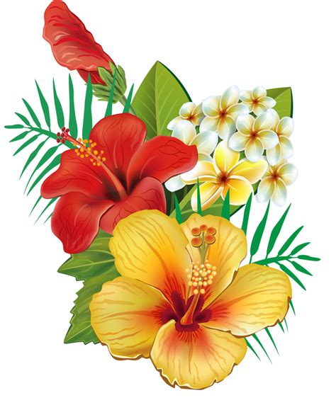 Moana clipart exotic flower, Moana exotic flower Transparent FREE for ...