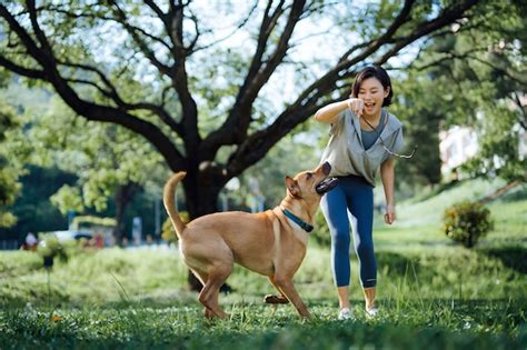 Alegre Joven Asi Tica Jugando Con Su Perro Mascota Jugando Con Un Palo