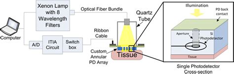 Schematic of the diffuse reflectance spectroscopy (DRS) imaging system... | Download Scientific ...