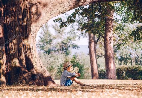 Niño con libro sentado bajo el árbol grande 2023