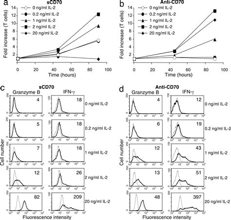 Cd27 Mediates Interleukin 2 Independent Clonal Expansion Of The Cd8 T