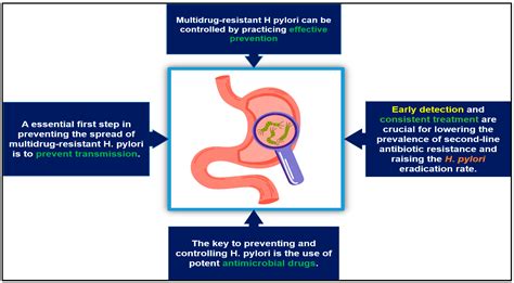 Antibiotics Free Full Text Helicobacter Pylori Infection Current