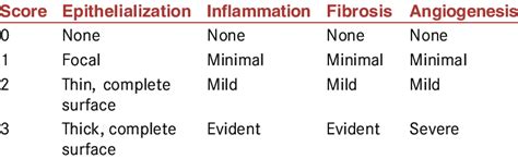 Histopathological Wound Healing Scale Download Scientific Diagram