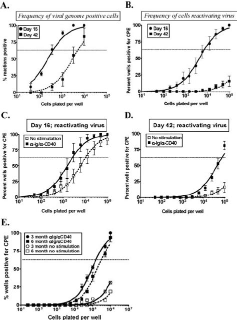 Stimulation Of ␥ Hv68 Reactivation From Explanted Splenocytes With