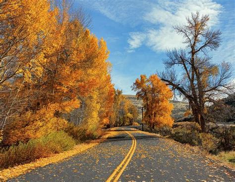 Pnw Photograph Sunny Fall Day By Wes And Dotty Weber Autumn Scenery