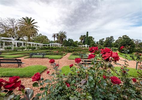 El Rosedal de Palermo el pulmón más grande de Buenos Aires en el que