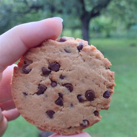 Le Moulin Du Pivert Cookies Pépites Review abillion