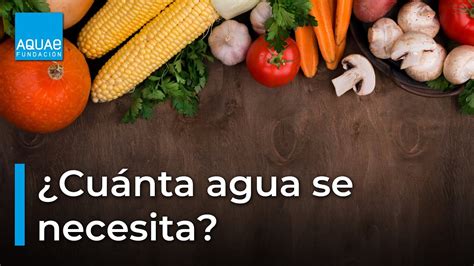 Cu Nta Agua Se Usa Para Producir Los Alimentos Que Tomamos Youtube