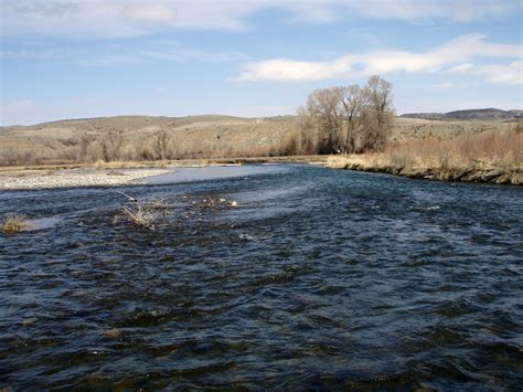 Lower Gallatin River near Manhattan in Montana image - Free stock photo ...