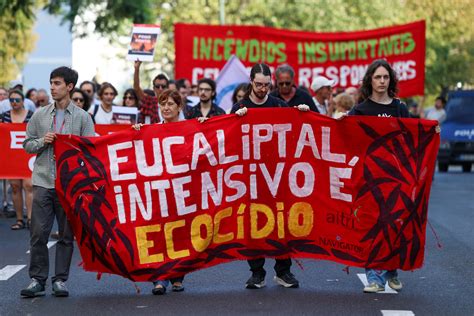 Manifestação contra os fogos juntou poucas dezenas de pessoas em Lisboa