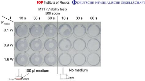 A Photograph Of A Microtiter Plate Containing Treated Cells After The Download Scientific Diagram