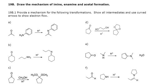 Solved 19b Draw The Mechanism Of Imine Enamine And Acetal