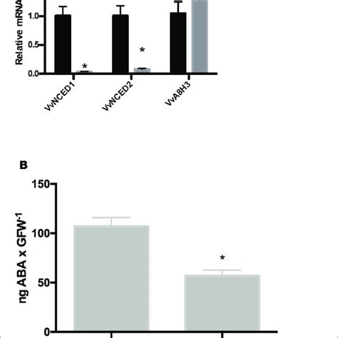 Abscisic Acid Aba Content And Aba Metabolism Related Genes In The Download Scientific