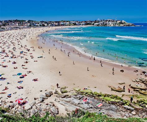 Womans Body Found Floating Off Bondi Beach